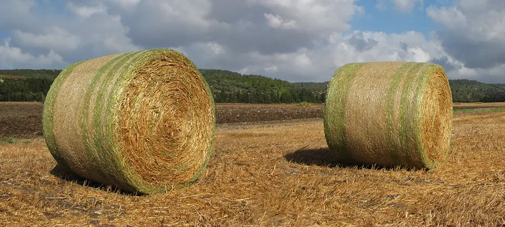 Two bales with Coveredge in the field