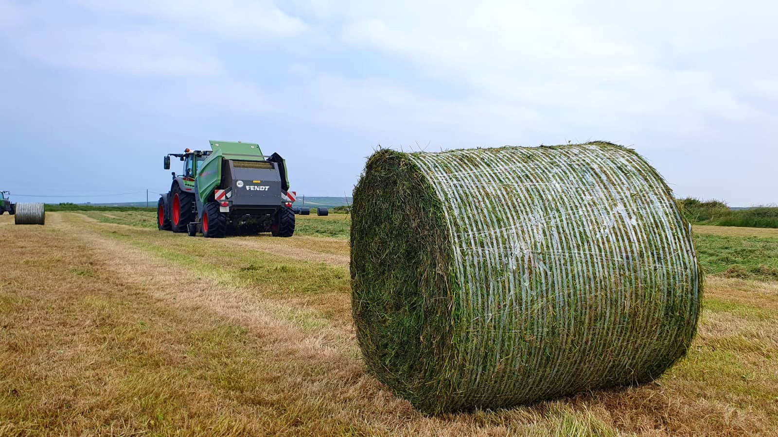 Roundbale of silage wrapped in Tama EZ Web